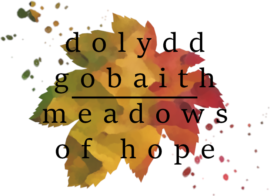 Dolydd-Gobaith