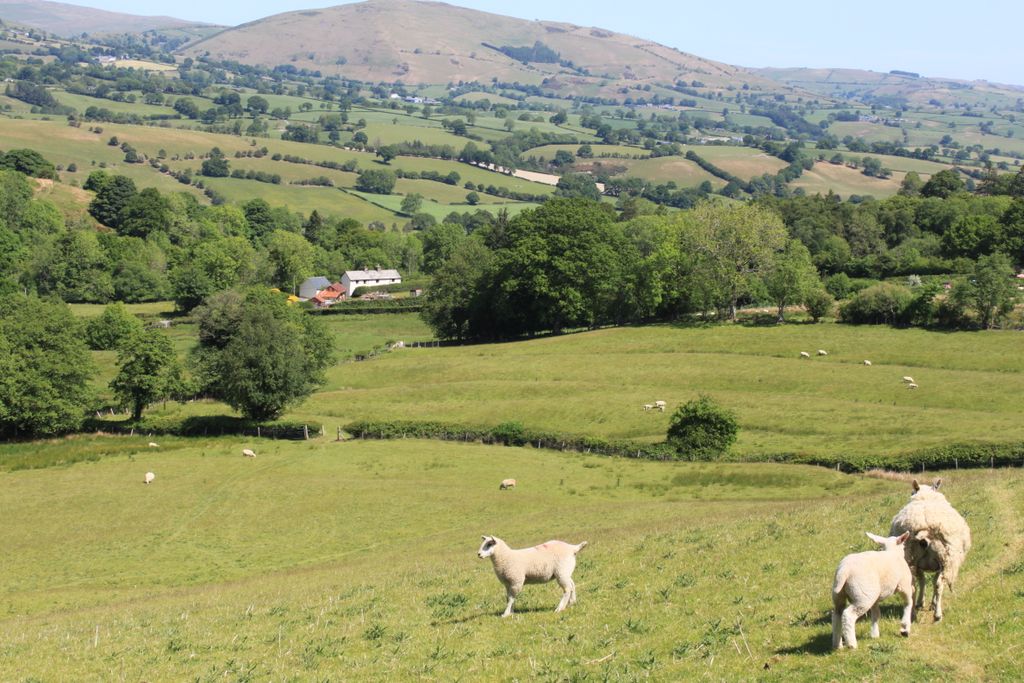 Views at Dolydd Gobath Tanat Valley, Powys, Wales/ Cymru