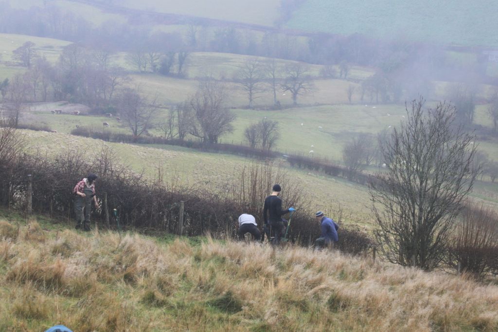 volunteers at Dolydd Gobaith, planting hedgerow trees